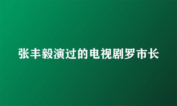 张丰毅演过的电视剧罗市长