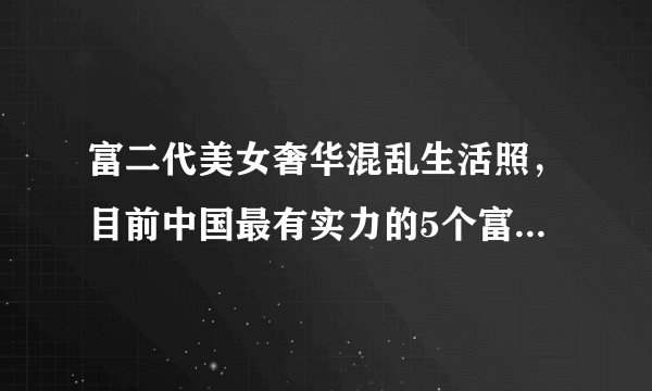 富二代美女奢华混乱生活照，目前中国最有实力的5个富二代_飞外网