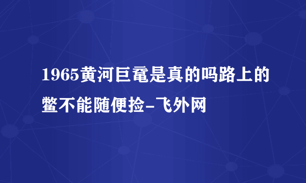 1965黄河巨鼋是真的吗路上的鳖不能随便捡-飞外网