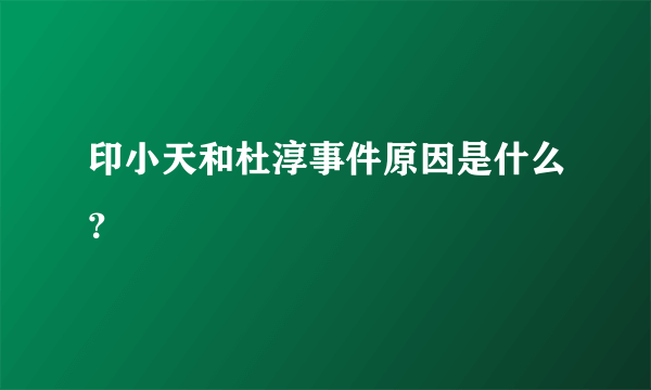 印小天和杜淳事件原因是什么？