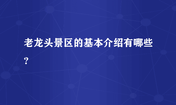 老龙头景区的基本介绍有哪些？