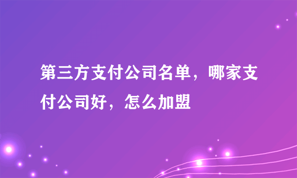 第三方支付公司名单，哪家支付公司好，怎么加盟