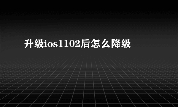 升级ios1102后怎么降级