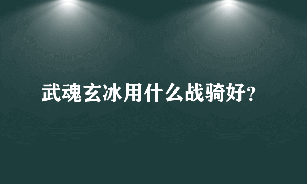 武魂玄冰用什么战骑好？