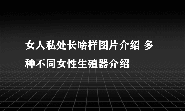 女人私处长啥样图片介绍 多种不同女性生殖器介绍 