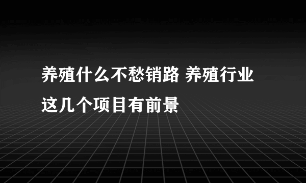 养殖什么不愁销路 养殖行业这几个项目有前景