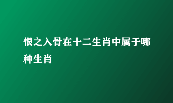 恨之入骨在十二生肖中属于哪种生肖