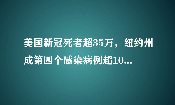 美国新冠死者超35万，纽约州成第四个感染病例超100万的州