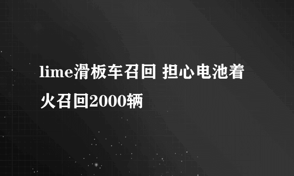 lime滑板车召回 担心电池着火召回2000辆