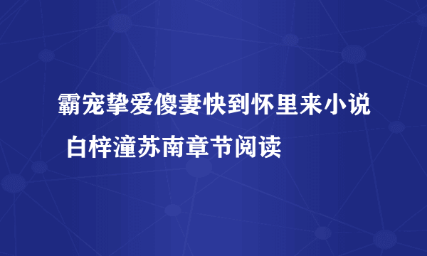 霸宠挚爱傻妻快到怀里来小说 白梓潼苏南章节阅读