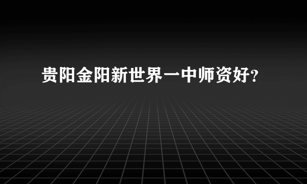 贵阳金阳新世界一中师资好？