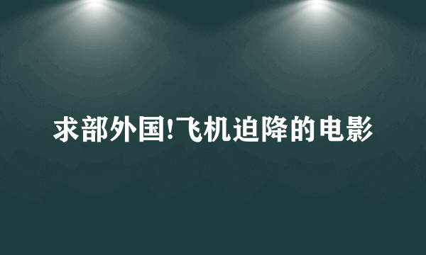 求部外国!飞机迫降的电影