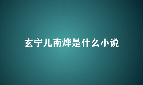 玄宁儿南烨是什么小说