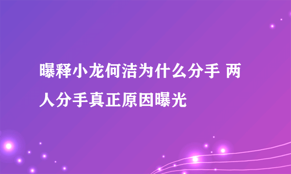 曝释小龙何洁为什么分手 两人分手真正原因曝光