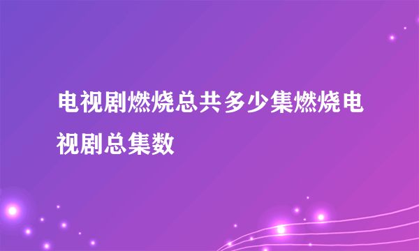 电视剧燃烧总共多少集燃烧电视剧总集数