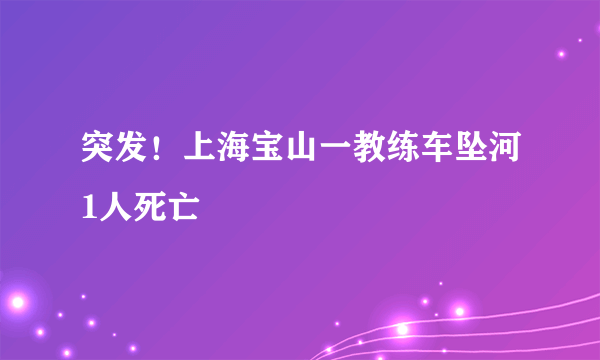 突发！上海宝山一教练车坠河1人死亡