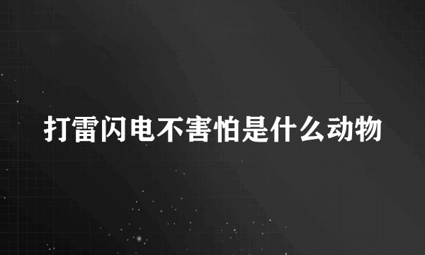 打雷闪电不害怕是什么动物