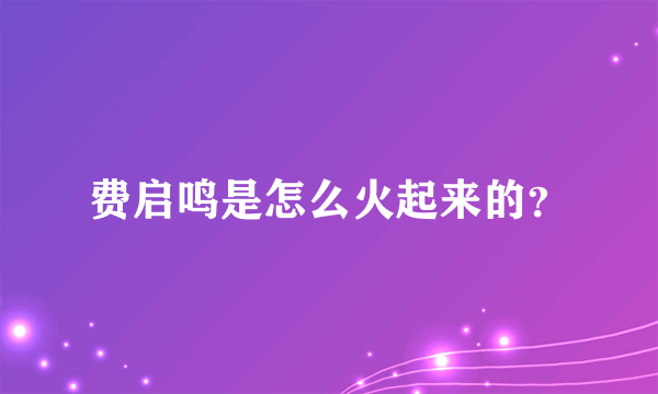 费启鸣是怎么火起来的？