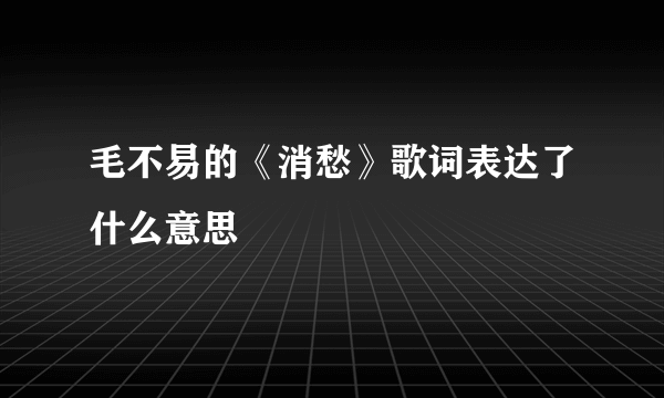 毛不易的《消愁》歌词表达了什么意思