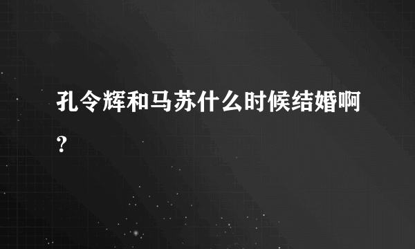 孔令辉和马苏什么时候结婚啊？