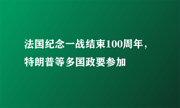 法国纪念一战结束100周年，特朗普等多国政要参加