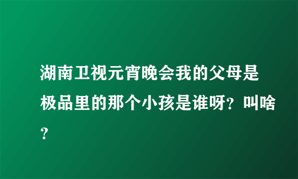 湖南卫视元宵晚会我的父母是极品里的那个小孩是谁呀？叫啥？