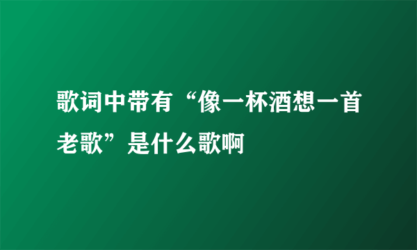 歌词中带有“像一杯酒想一首老歌”是什么歌啊