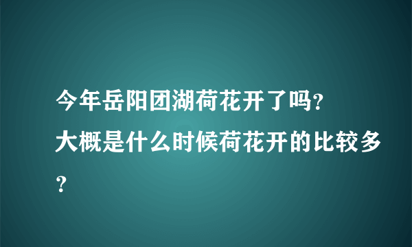 今年岳阳团湖荷花开了吗？ 大概是什么时候荷花开的比较多？