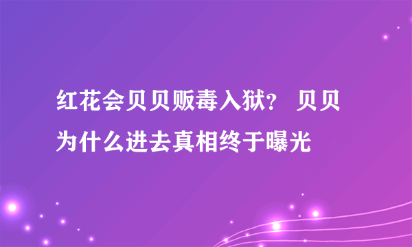 红花会贝贝贩毒入狱？ 贝贝为什么进去真相终于曝光