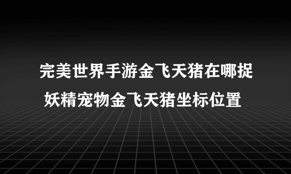 完美世界手游金飞天猪在哪捉 妖精宠物金飞天猪坐标位置