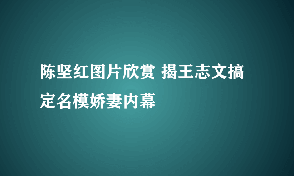 陈坚红图片欣赏 揭王志文搞定名模娇妻内幕