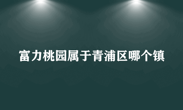 富力桃园属于青浦区哪个镇