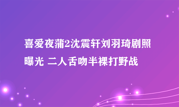 喜爱夜蒲2沈震轩刘羽琦剧照曝光 二人舌吻半裸打野战