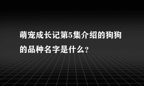 萌宠成长记第5集介绍的狗狗的品种名字是什么？