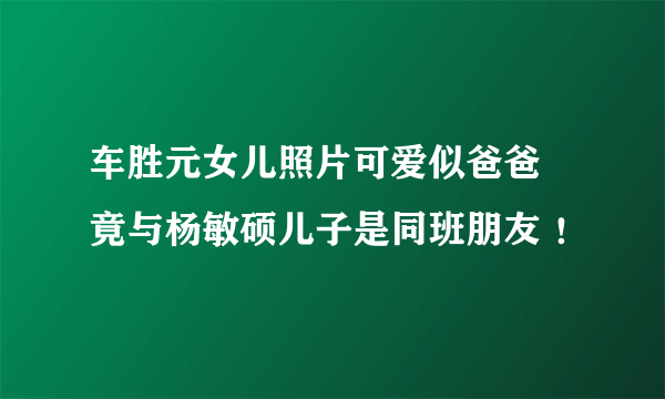 车胜元女儿照片可爱似爸爸 竟与杨敏硕儿子是同班朋友 ！