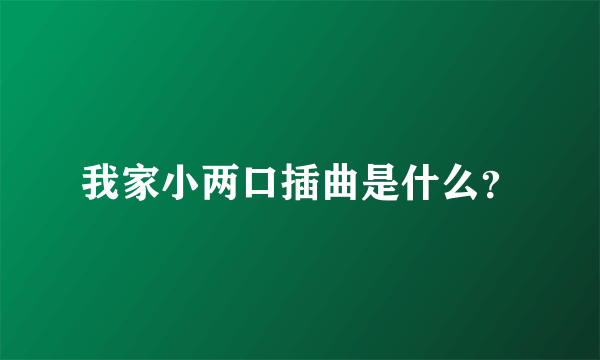 我家小两口插曲是什么？