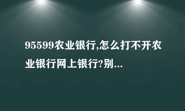 95599农业银行,怎么打不开农业银行网上银行?别的网页都能打开,就是打不开农业银行网上银行