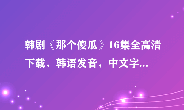 韩剧《那个傻瓜》16集全高清下载，韩语发音，中文字幕，收藏专用，越高清越好！每集才几百MB的就别发了！