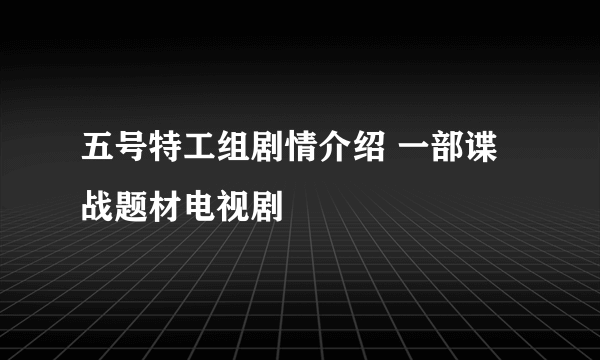 五号特工组剧情介绍 一部谍战题材电视剧