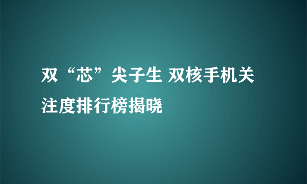 双“芯”尖子生 双核手机关注度排行榜揭晓