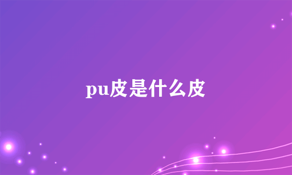 pu皮是什么皮