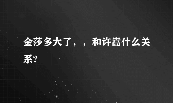 金莎多大了，，和许嵩什么关系?