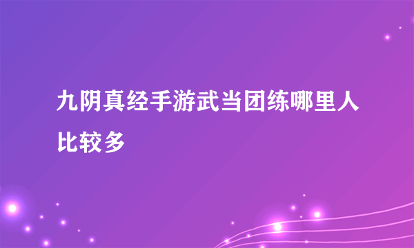 九阴真经手游武当团练哪里人比较多