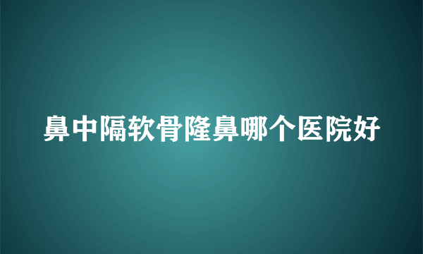 鼻中隔软骨隆鼻哪个医院好