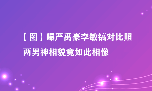 【图】曝严禹豪李敏镐对比照 两男神相貌竟如此相像