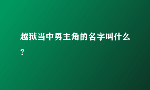 越狱当中男主角的名字叫什么？