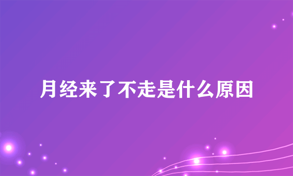 月经来了不走是什么原因