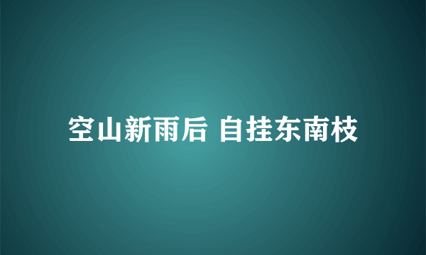 空山新雨后 自挂东南枝