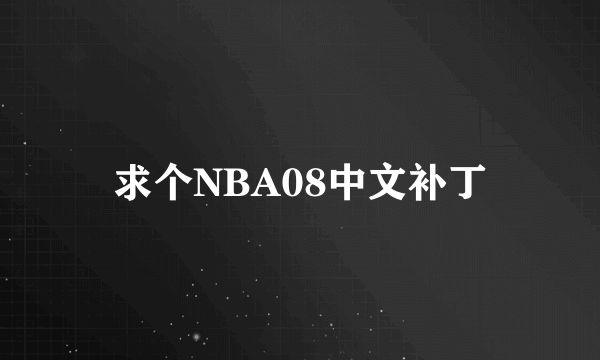 求个NBA08中文补丁