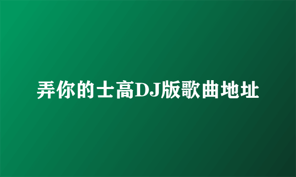 弄你的士高DJ版歌曲地址